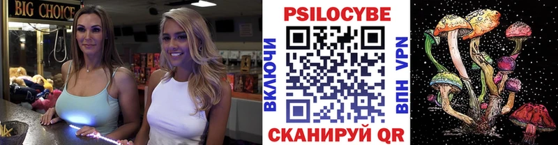 Псилоцибиновые грибы Cubensis  ОМГ ОМГ ссылка  Камызяк 