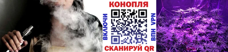 Конопля сатива  купить   Камызяк 